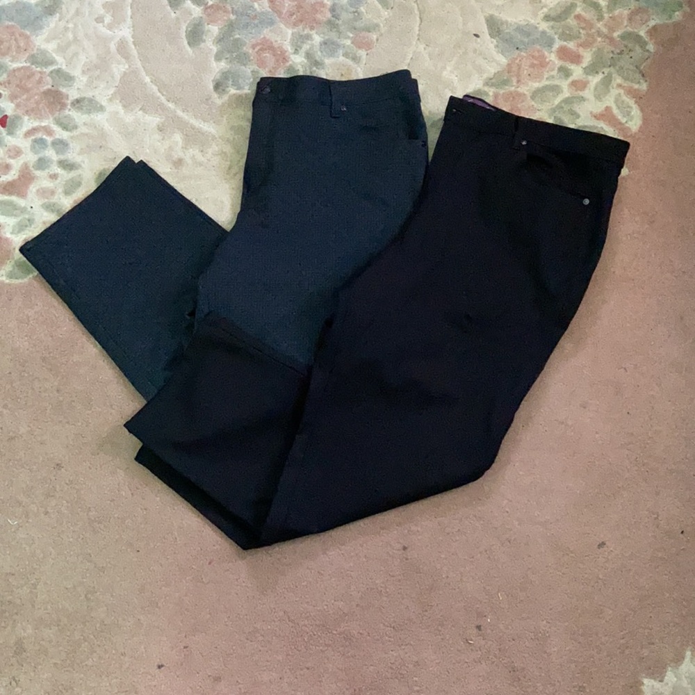 2 PAIRS Gloria Vanderbilt Amanda trouser